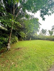 Thomson Road (D11), Detached #498337211